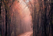 蓝鲸体育:崔永熙NBA季前赛首秀 出场8分钟贡献1分2篮板.