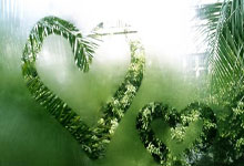 蓝鲸体育:英超11轮战罢 去年同期热刺下滑8位曼联下滑5位.