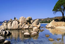 踢球者:勒沃库森在考虑奥尔特加,他们需要他的本土球员身份.